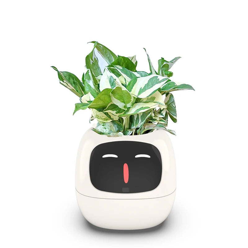 Smart Small Flower Pot