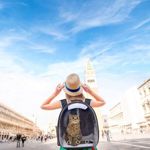 Cat Carrier Backpack