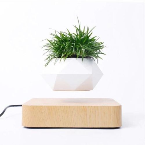 Levitating Flower Pot