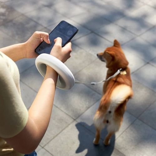 Dog Leash Ring Led