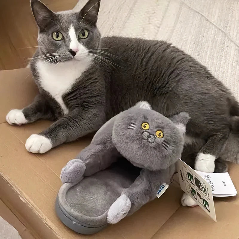 Cat Slippers